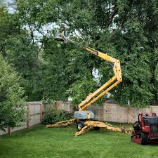 Best Tree Mulching  in Cherry Valley, CA