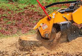 How Our Tree Care Process Works  in  Cherry Valley, CA