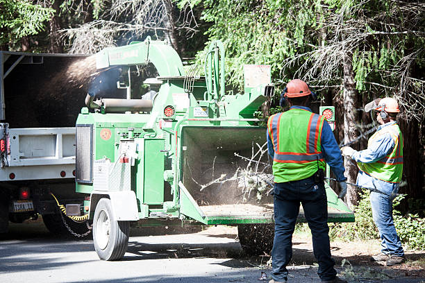 Best Aeration Services  in Cherry Valley, CA